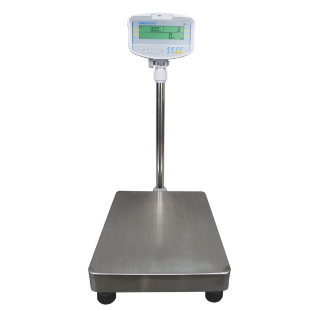 Adam Equipment GFC 330a Floor Counting Scales 330 lb