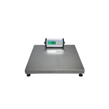 Adam Equipment CPWplus Bench and Floor Scales: CPWplus 150M